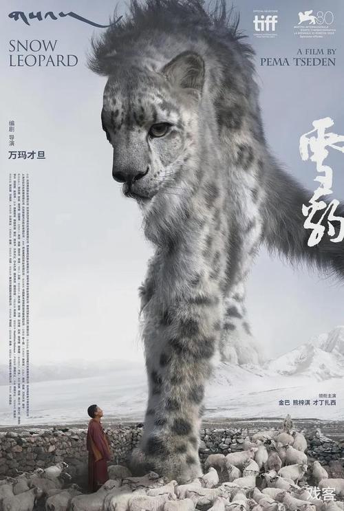 《雪豹》百度云网盘阿里下载[MP4/mkv]国语中字（2023）