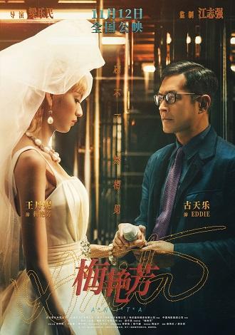 《梅艳芳》百度云网盘下载1080P阿里下载粤语中字(2021)