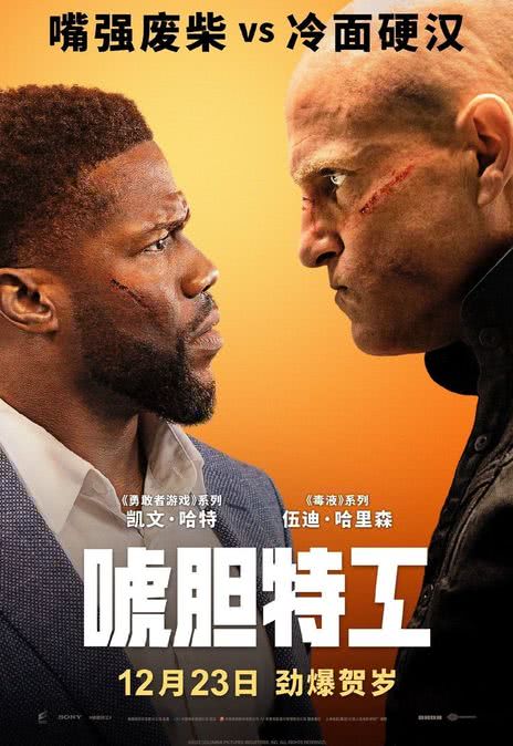 《唬胆特工》百度云网盘下载英语中字(2022)