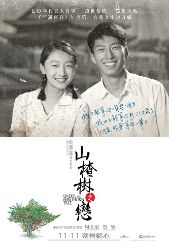 《山楂树之恋》百度云网盘下载国语中字(2010)