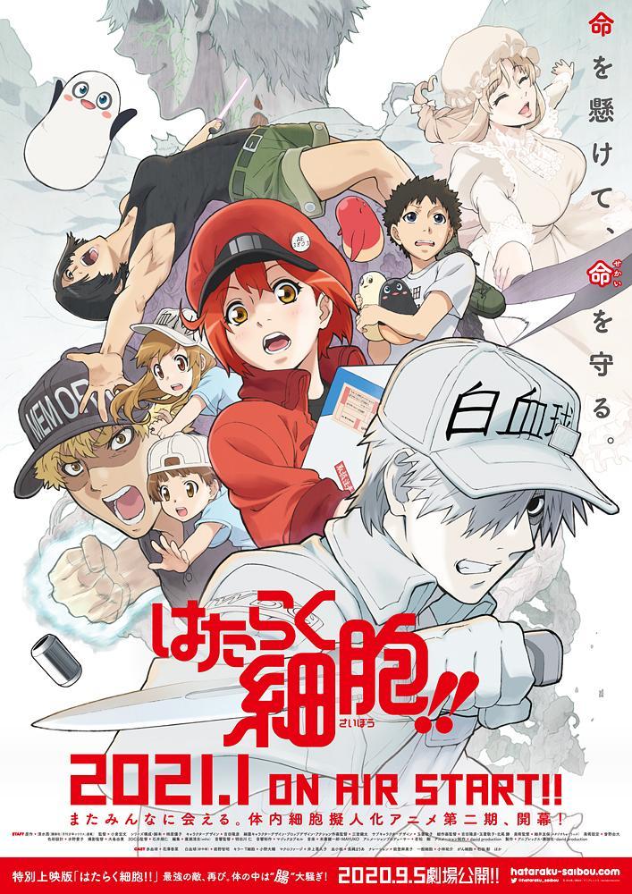 《工作细胞 第二季》百度云盘下载[MP4/mkv]蓝光[BD720P/HD1080P]网盘（2021）