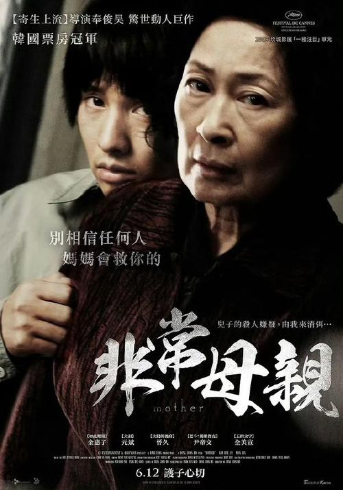 《母亲》百度云阿里网盘下载 BD1080P 韩语中字（2009）